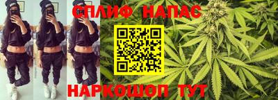 Альфа ПВП Можайск
