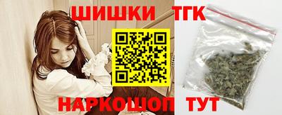 крисы Можга