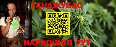 крисы Можга