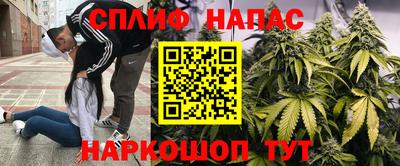 Альфа ПВП Можайск