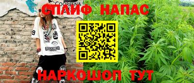 крисы Можга