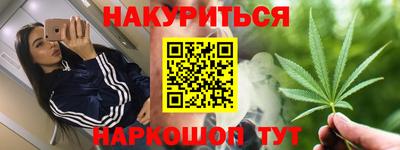 крисы Можга