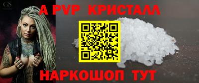 крисы Можга