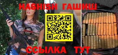 крисы Можга